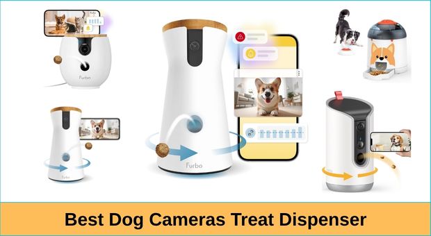 Pet Camera Subscription Costs and Storage