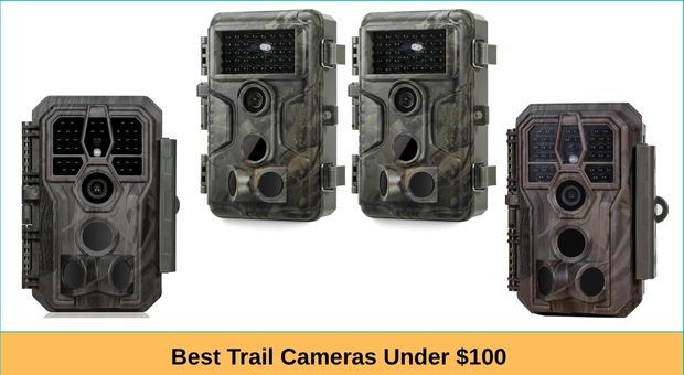 Best Trail Camera Under $100