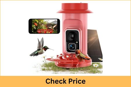 HUMBIRDY Feeder Camera 4K Slow Motion