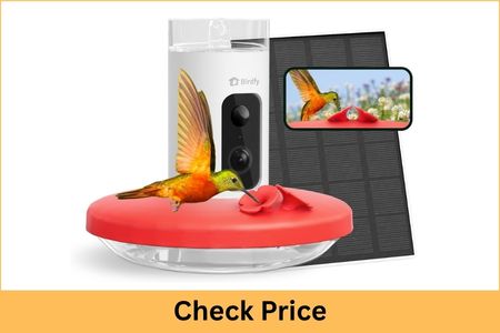 SE Hummingbird Feeder Camera Solar AI